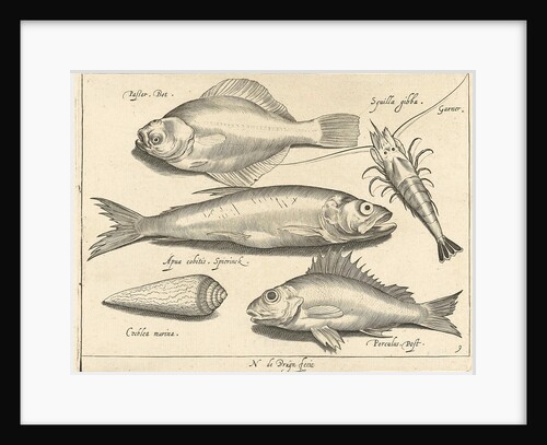 Shrimp and eel by Nicolaes de Bruyn