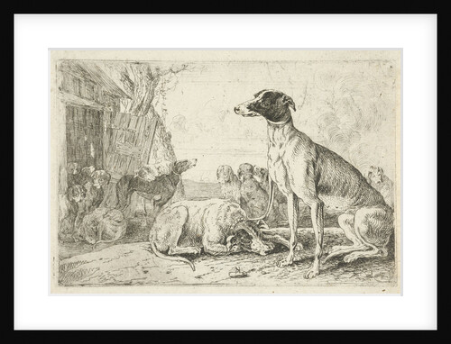 Dog kennel by Jan van den Hecke I