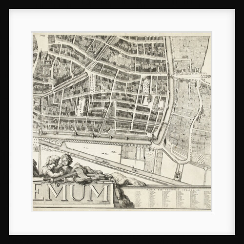 Part of the plan of Haarlem by Romeyn de Hooghe