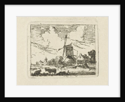 Cows on a shore by Simon Klapmuts