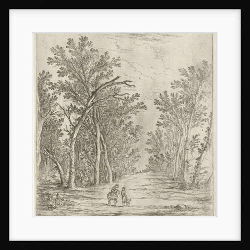 Forest Path by Jan Fouceel