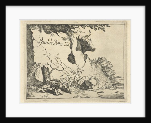 Cup ox behind rock by Marcus de Bye