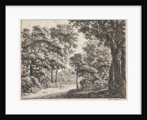 Large trees on either side of a path by Anthonie Waterloo