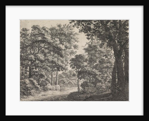 Large trees on either side of a path by Anthonie Waterloo