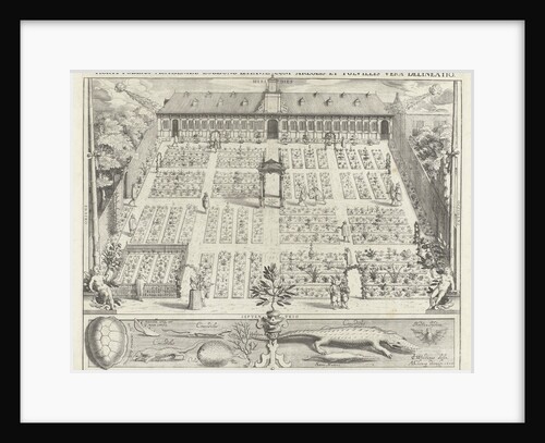 Hortus Botanicus of Leiden University by Andries Clouck