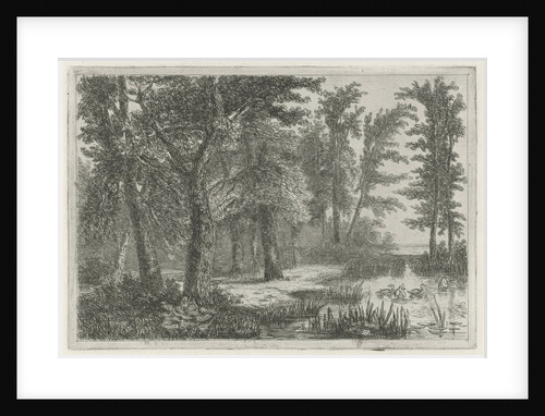 forest scene with a natural pond with ducks by Hermanus Jan Hendrik van Rijkelijkhuysen