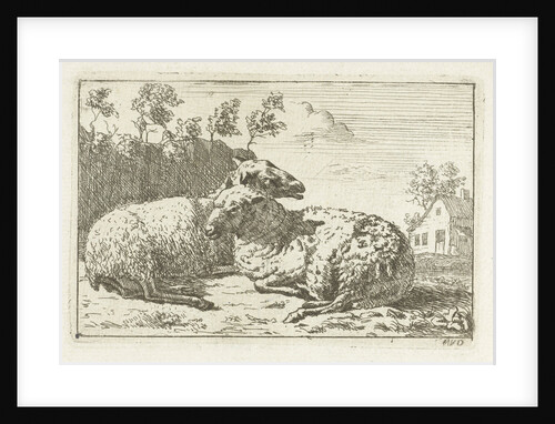 Two sheep lying near fence by M.van Dalen