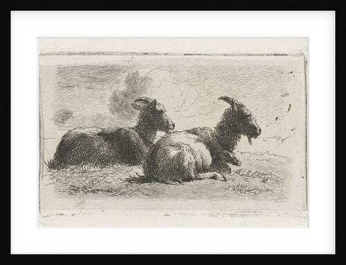 Two reclining goats by Simon van den Berg