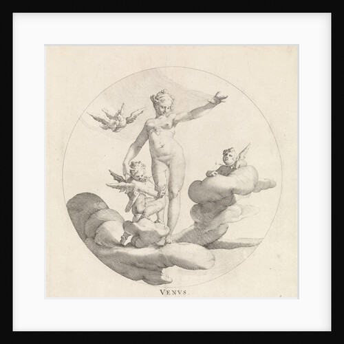 Venus by Frederik de Wit