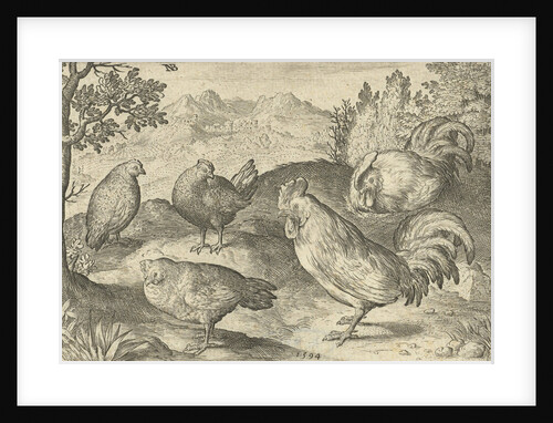 Three hens and two roosters by Nicolaes de Bruyn