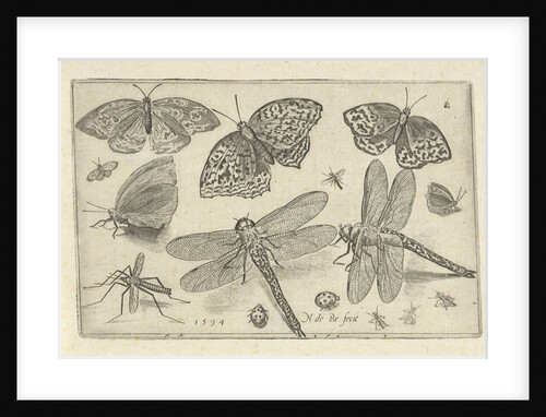Butterflies and dragonflies by Nicolaes de Bruyn