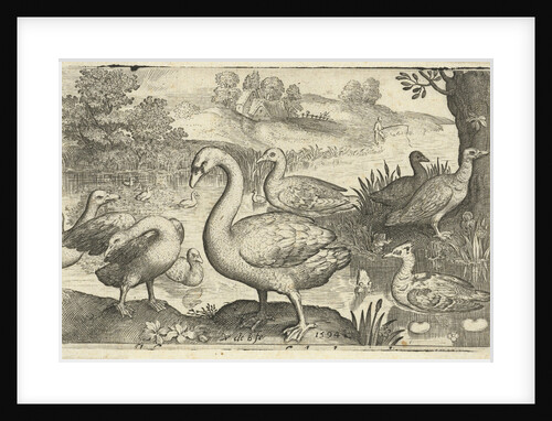 Swan and geese and ducks near the water by Francoys van Beusekom