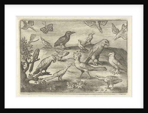 Hop and other birds by Nicolaes de Bruyn
