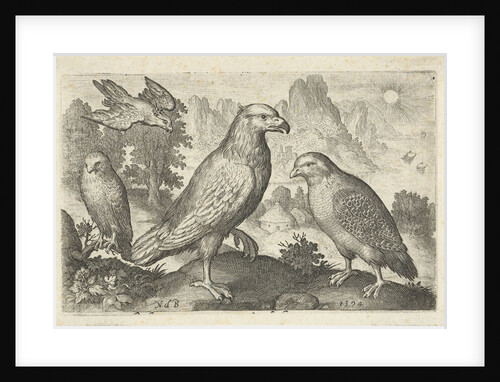Eagle and other birds of prey by Nicolaes de Bruyn