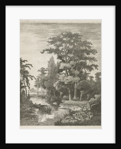 Forest scene with two ducks nesting in a river by Hermanus Jan Hendrik van Rijkelijkhuysen