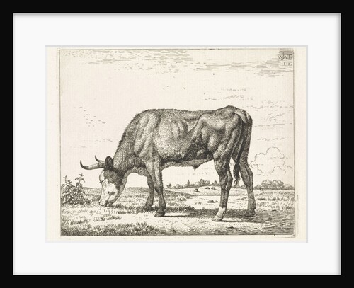 Grazing cow by Wouter Johannes van Troostwijk
