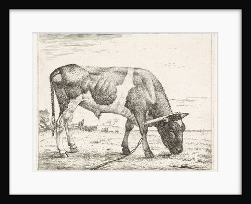Grazing ox by Wouter Johannes van Troostwijk