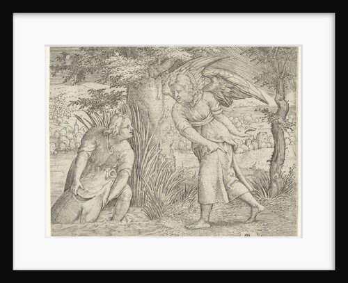 Tobias and the fish by Cornelis Massijs