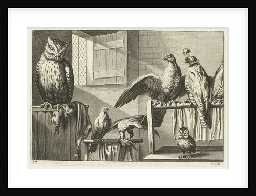Falcons and owls in a barn by Francis Barlow