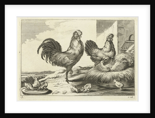 Chicken, roosters and chicks by Francis Barlow