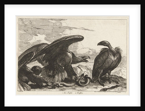 Vulture and an eagle with snake by Lodewijk XIV