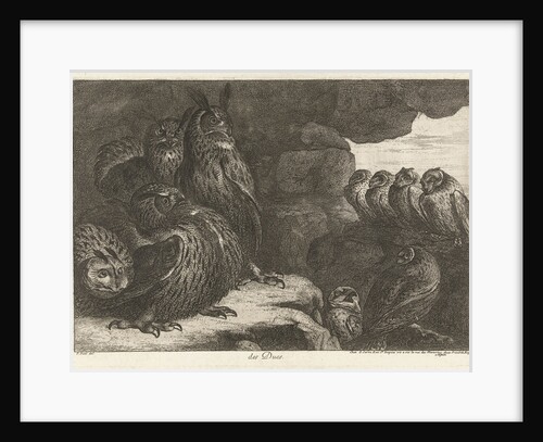 Owls in a cave by Lodewijk XIV