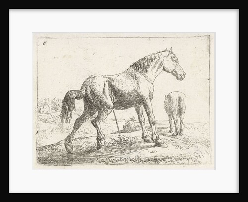 A horse by Jochem Bormeester