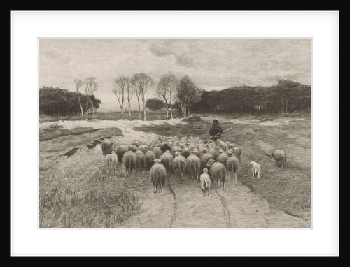 Shepherd by Elias Stark