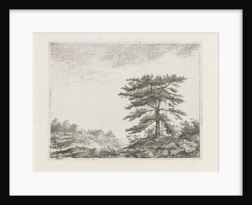Tree in a moorland by Christiaan Wilhelmus Moorrees