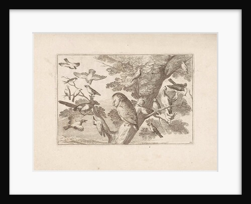 Owl and other birds in a tree by Pieter Schenk I