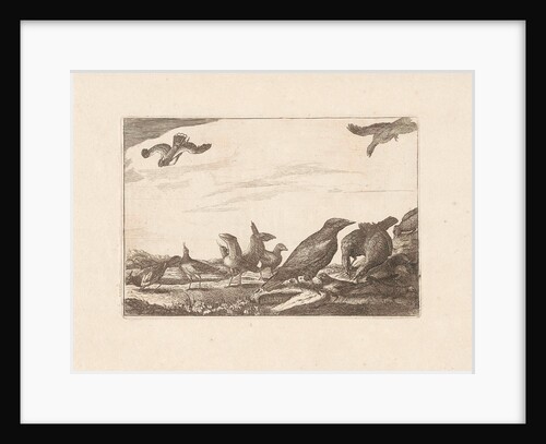 Crow and pheasants by Pieter Schenk I