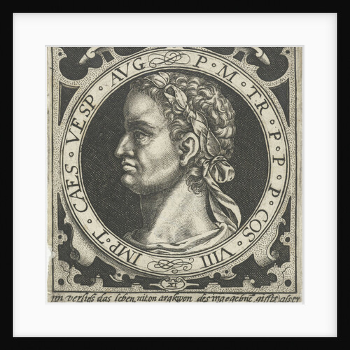 Portrait of Vespasian on medallion by Nicolaes de Bruyn