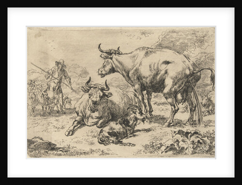 Reclining and a urinating cow by Nicolaes Pietersz. Berchem