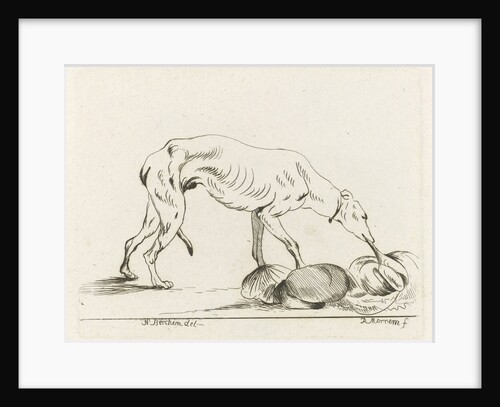 Eating dog by D. Merrem