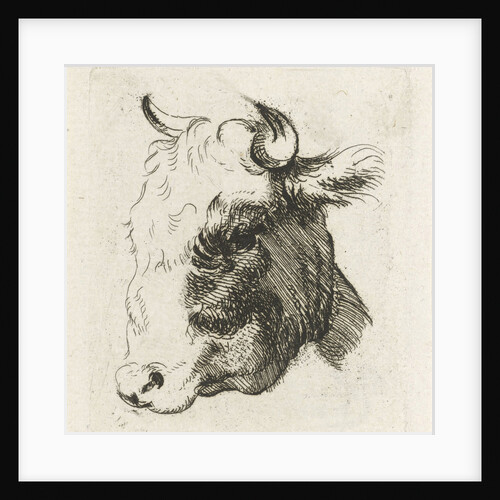 Study Sheet with a cow's head by D. Merrem