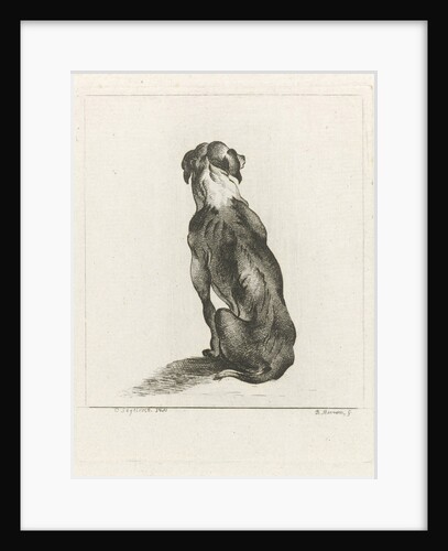 Sitting dog by D. Merrem