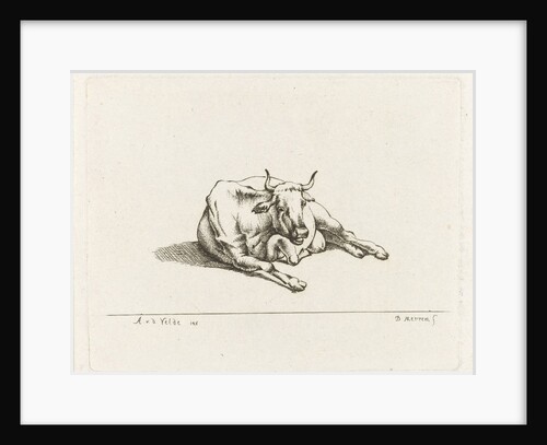 Lying cow by D. Merrem