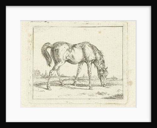 Grazing horse by Jan Dasveldt