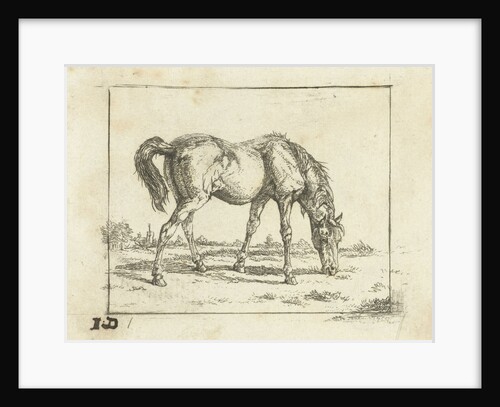 Grazing horse by Jan Dasveldt