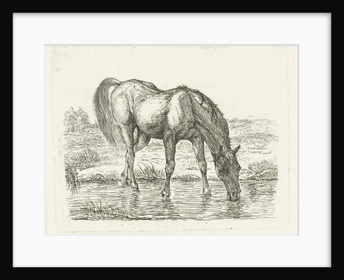 Drinking horse by Jan Dasveldt