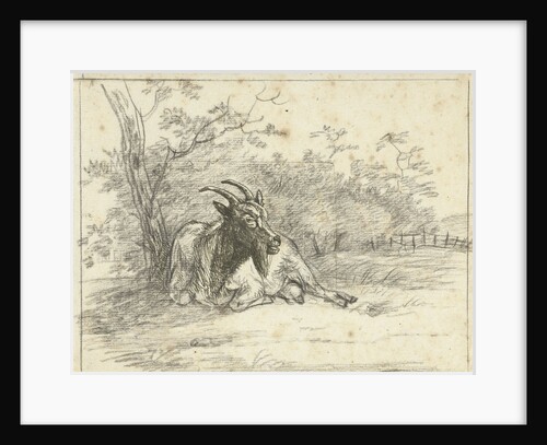 Lying goat by Jan Dasveldt