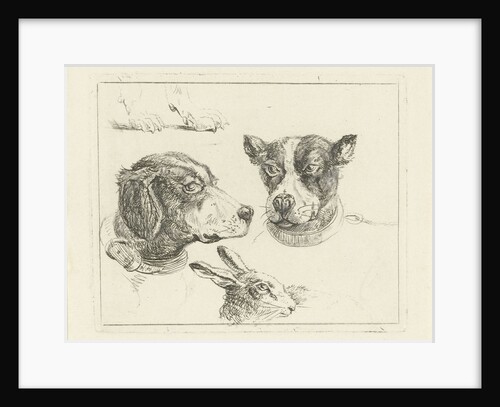 Study Sheet with two dog heads, paws dog and head of hare by Jan Dasveldt