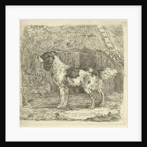 Dog standing in loft by Jan Dasveldt