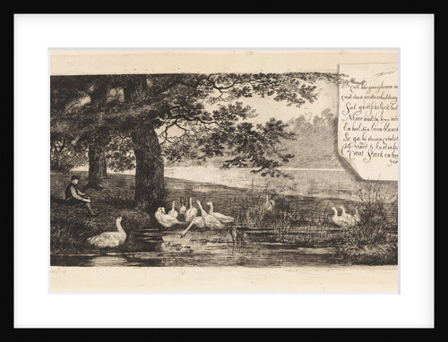 Geese at water by Elias Stark