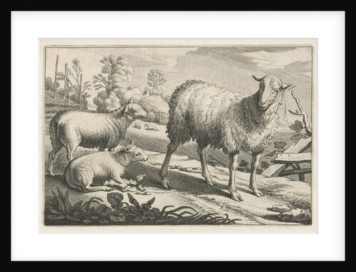Pasture with a sheep and two lambs by Nicolaes Visscher I