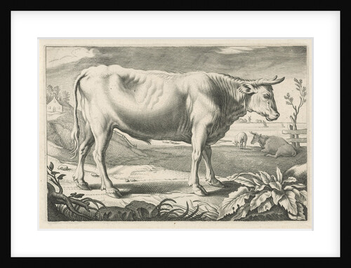 Pasture with an ox by Nicolaes Visscher I