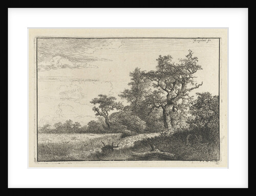 The cornfield by Jacob Isaacksz. van Ruisdael