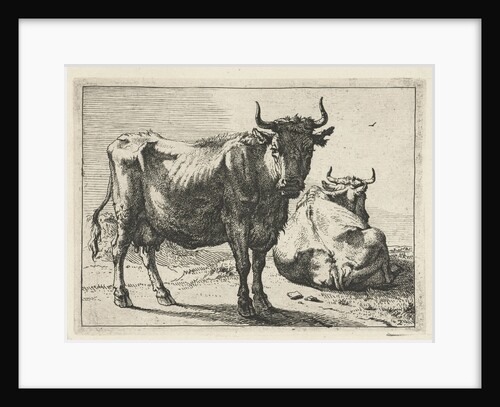 A standing and a lying cow by Paulus Potter