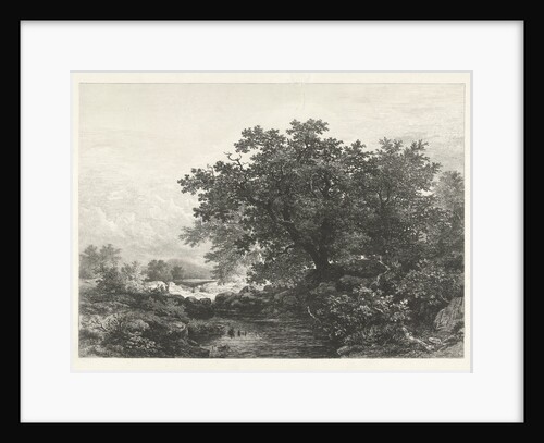 Bakony forest, Transdanubian Mountains, Hungary by Remigius Adrianus Haanen