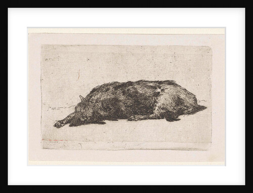 Sleeping dog by Jan Weissenbruch